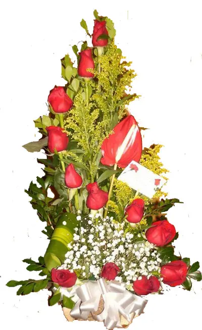 A166.webp