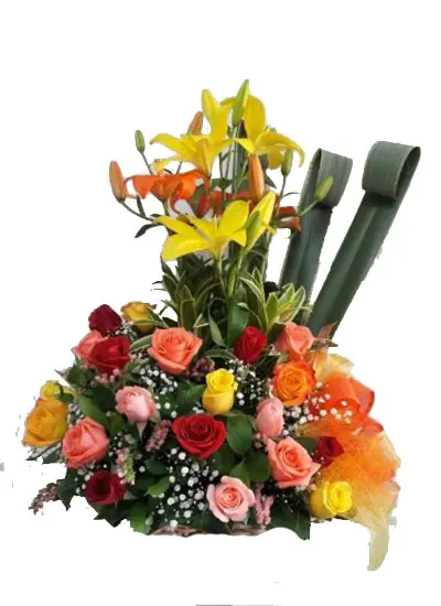 A178.webp