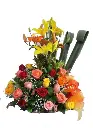 A178.webp