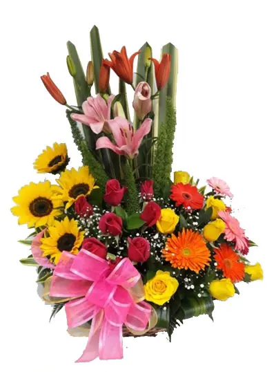 A287.webp