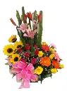 A287.webp