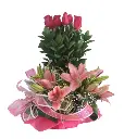 A174.webp