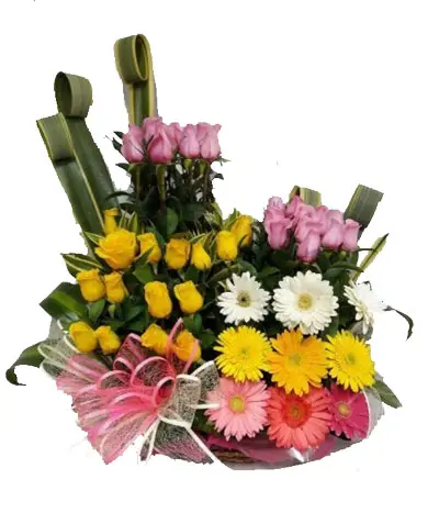 A291.webp