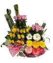 A291.webp