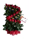 A181.webp