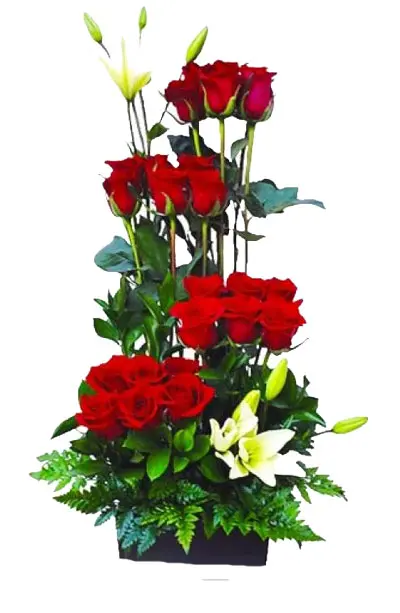 A189.webp