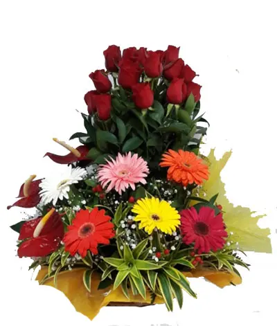 A199.webp