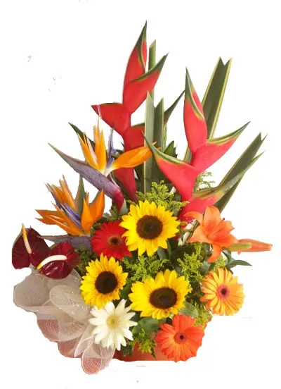 A200.webp
