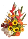 A200.webp