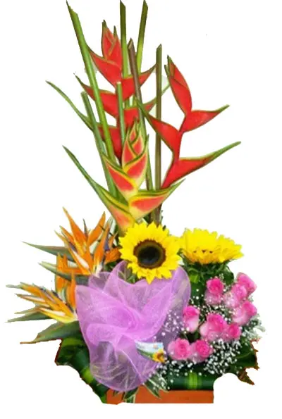 A202.webp