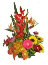 A204.webp