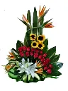 A206.webp
