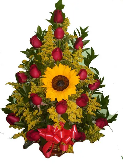 A208.webp