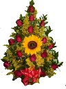 A208.webp