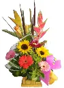 A210.webp