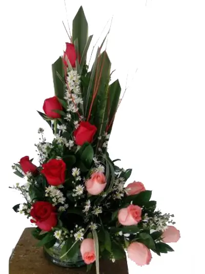A216.webp