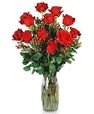 A236.webp