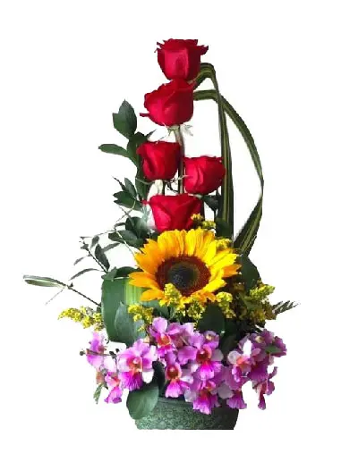A217.webp