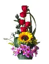 A217.webp