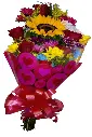 A224.webp
