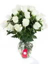 A245.webp