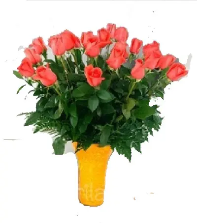 A237.webp