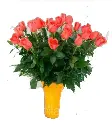 A237.webp