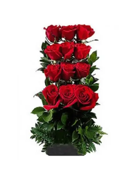 A259.webp