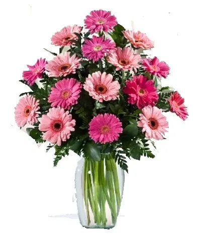 A238.webp