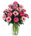 A238.webp