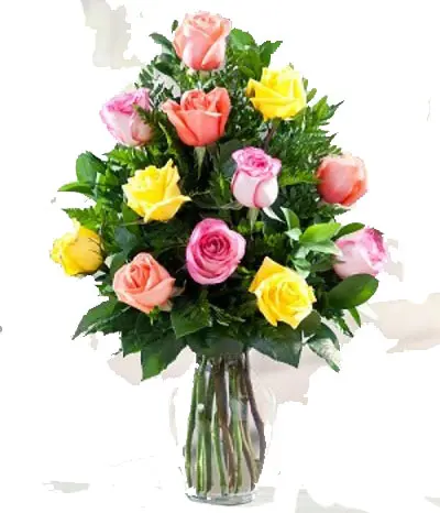 A239.webp