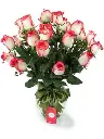 A244.webp