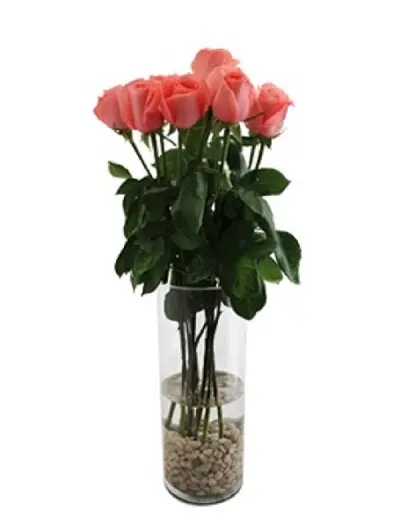 A271.webp