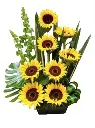 A257.webp