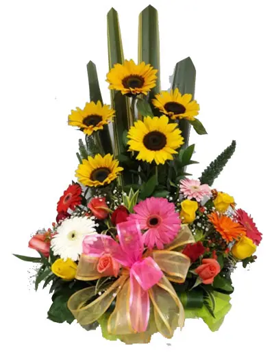 A041.webp