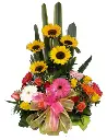 A041.webp