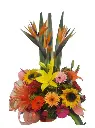 A048.webp