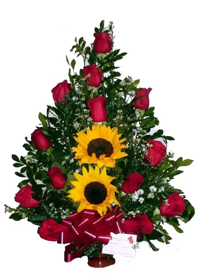 A172.webp