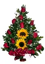 A172.webp