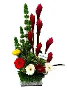 A130.webp
