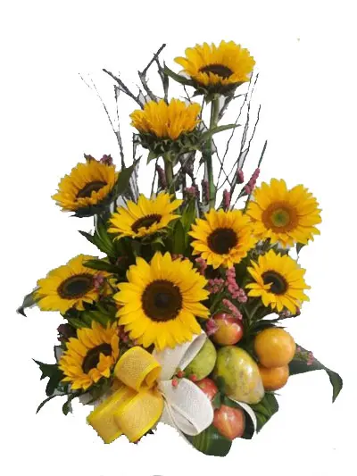 A163.webp