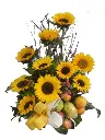A163.webp