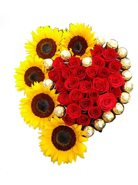A1131.webp