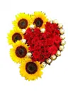 A1131.webp