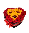 A142.webp