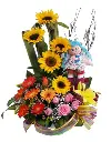 A117.webp