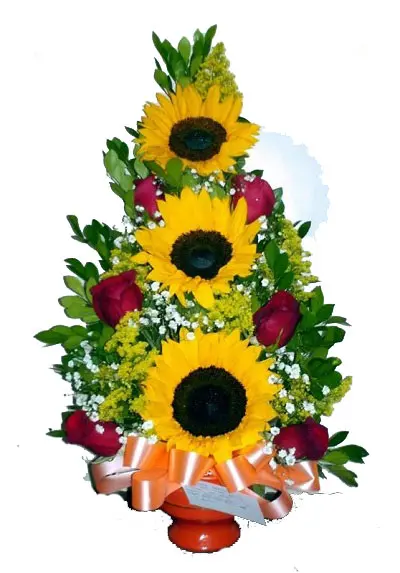 A220.webp