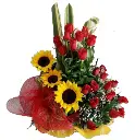 A179.webp