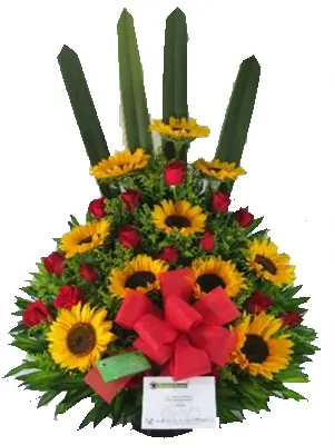 A182.webp