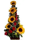 A218.webp